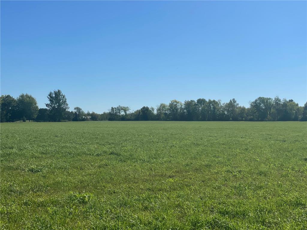 xxx 140th Foreston MN 56330 6606529 image15