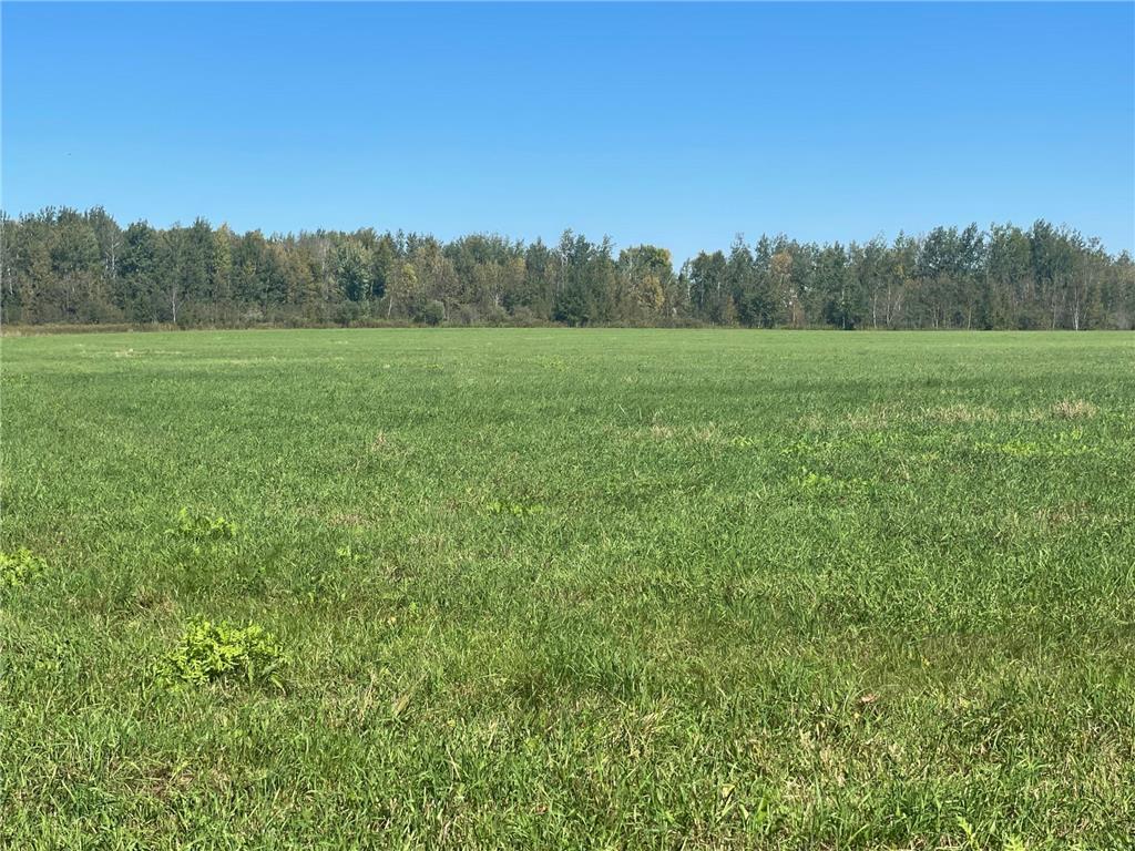 xxx 140th Foreston MN 56330 6606529 image2