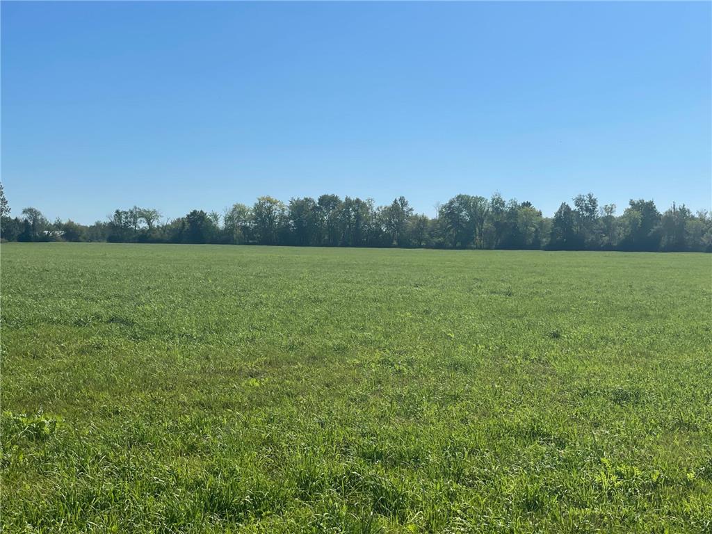 xxx 140th Foreston MN 56330 6606529 image3