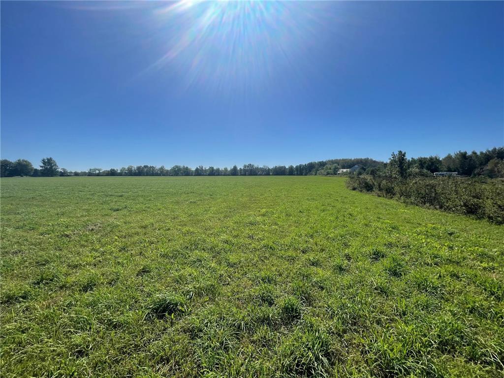 xxx 140th Foreston MN 56330 6606529 image4