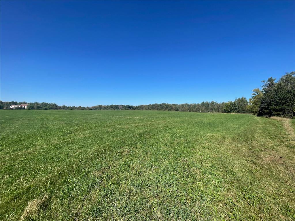 xxx 140th Foreston MN 56330 6606529 image6