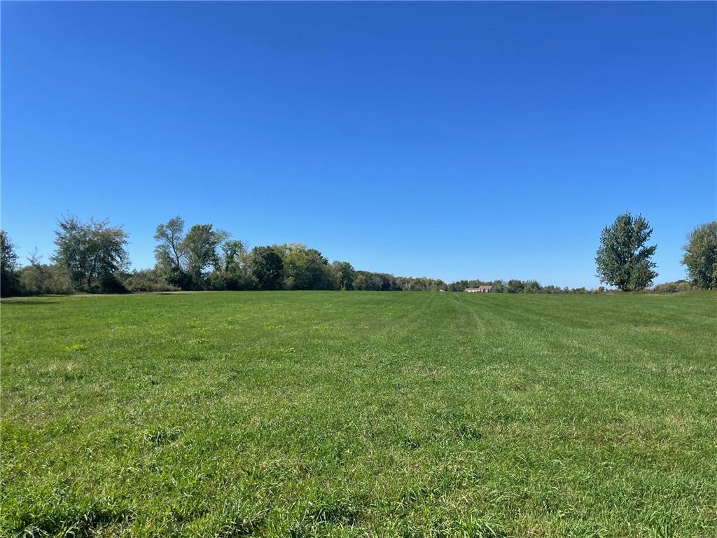 xxx 140th Foreston MN 56330 6606529 image7