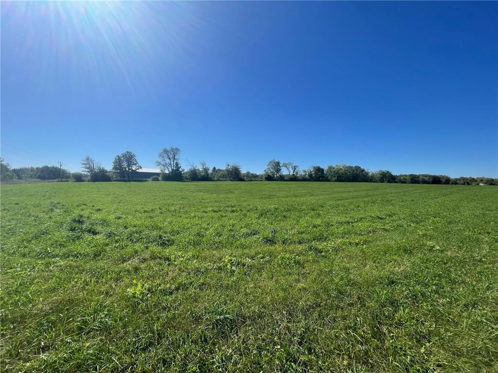 xxx 140th Foreston MN 56330 6606529 image9