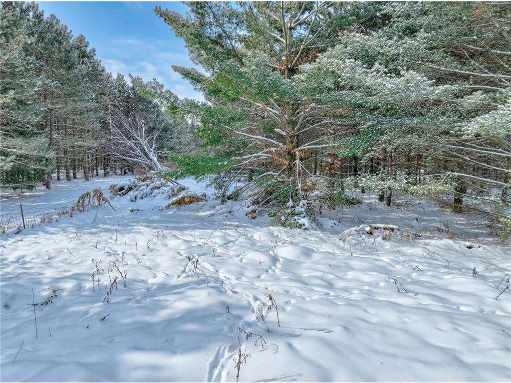 xxx 143rd (Lot 2) Avenue Somerset WI 54025 7001081 image10