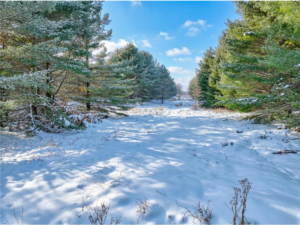 xxx 143rd (Lot 2) Avenue Somerset WI 54025 7001081 image9