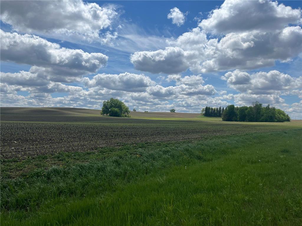 xxx 151st Street Dovray Twp MN 56123 6714825 image12