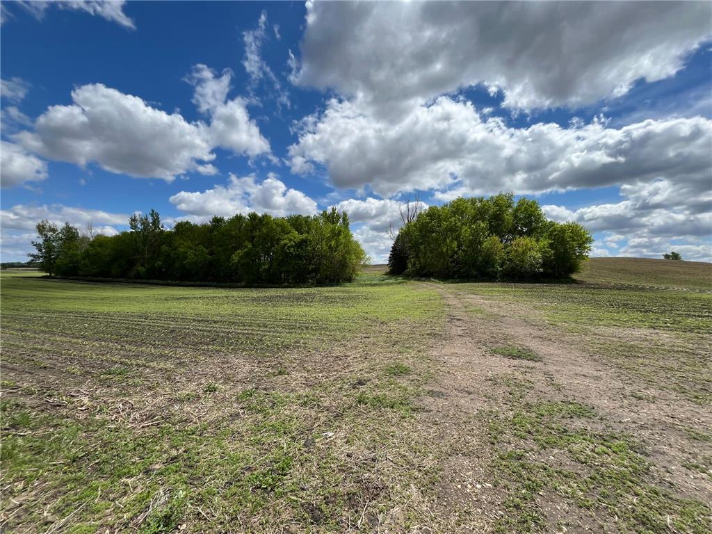 xxx 151st Street Dovray Twp MN 56123 6714825 image13