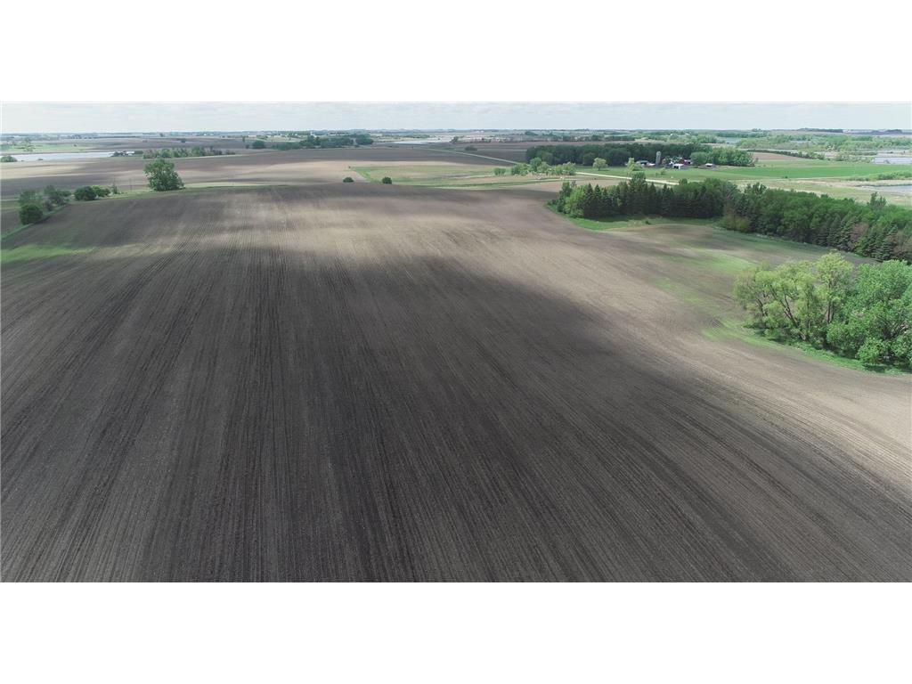 xxx 151st Street Dovray Twp MN 56123 6714825 image2