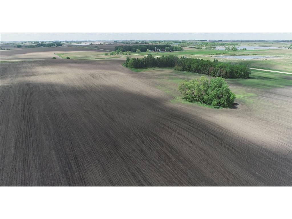xxx 151st Street Dovray Twp MN 56123 6714825 image3