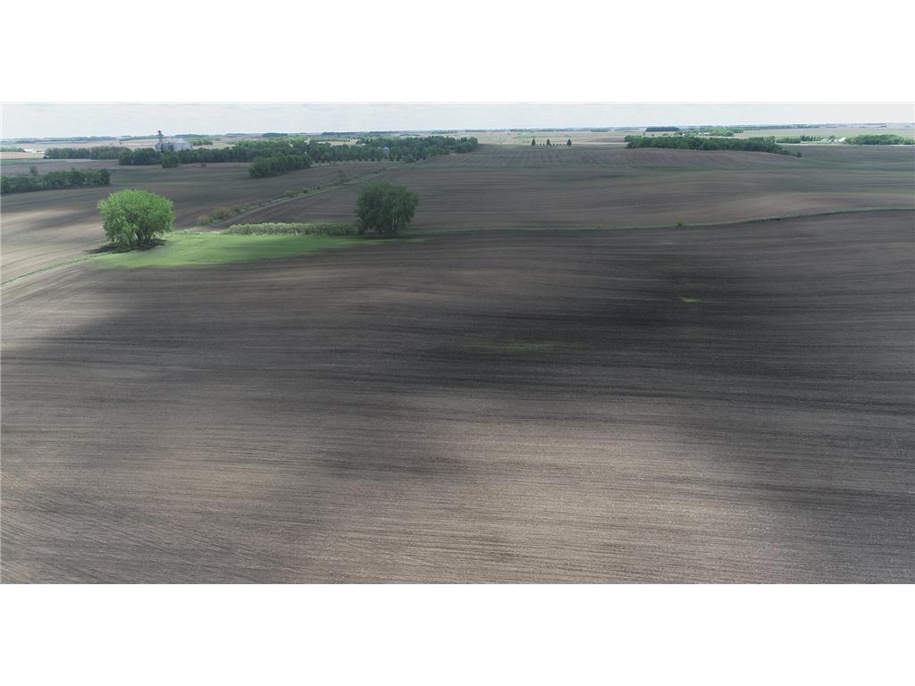 xxx 151st Street Dovray Twp MN 56123 6714825 image4