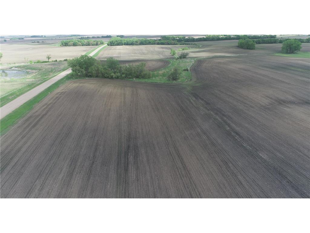 xxx 151st Street Dovray Twp MN 56123 6714825 image6