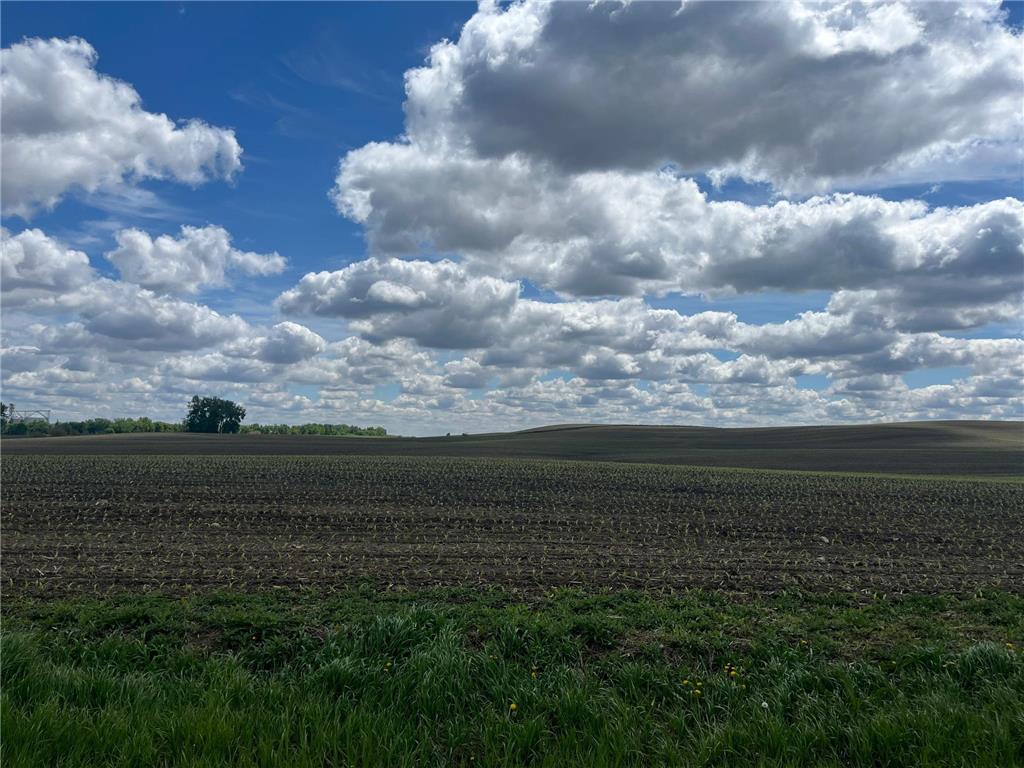 xxx 151st Street Dovray Twp MN 56123 6714825 image9