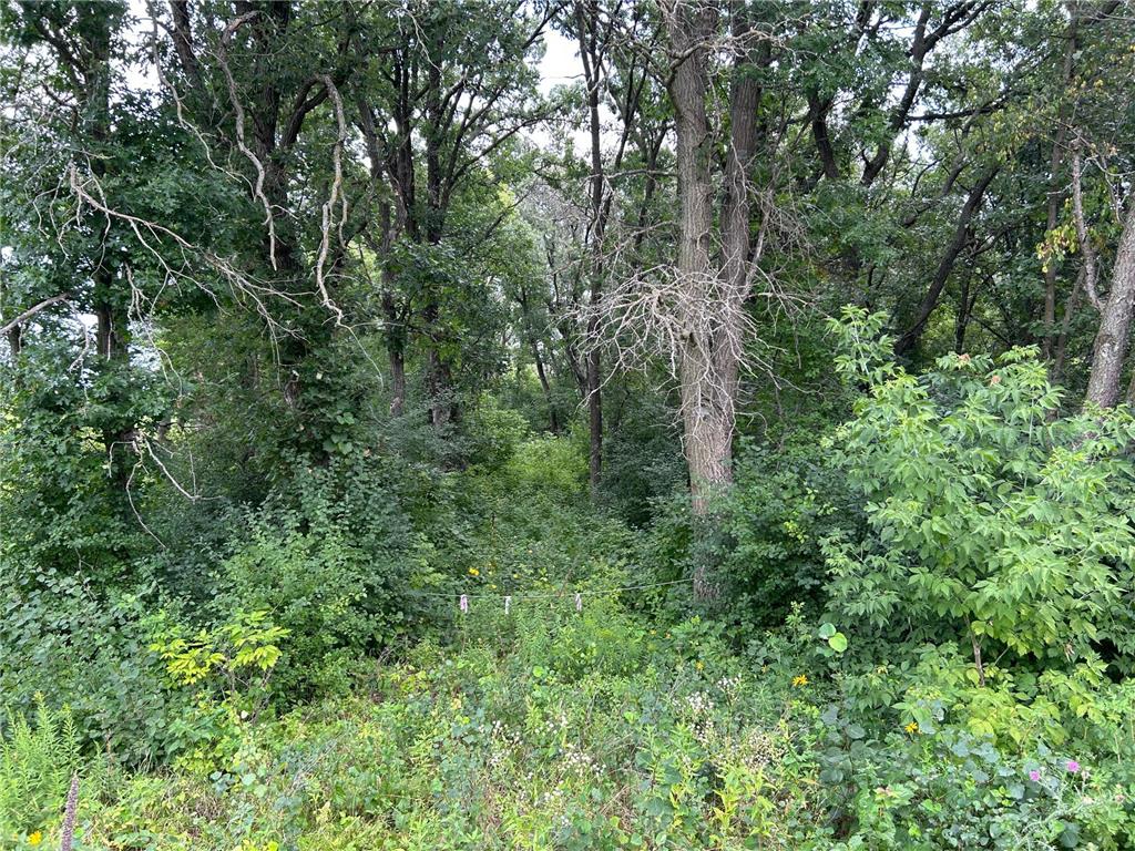 xxx 173rd Avenue SE Becker Twp MN 55308 6414842 image1