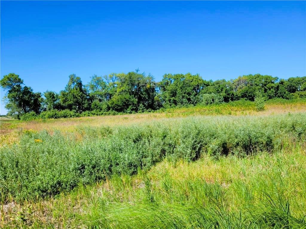 xxx 205th Byron Twp MN 56072 6354955 image1