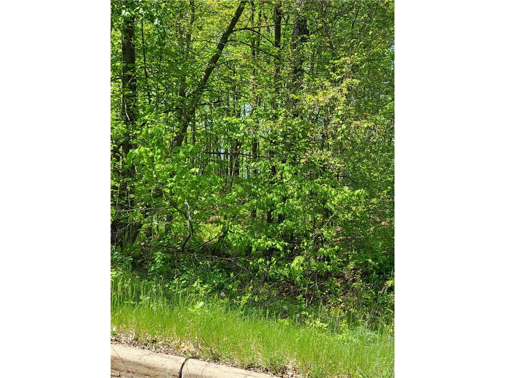 xxx 207th Street Osceola WI 54009 - Lotus Lake 6537443 image1