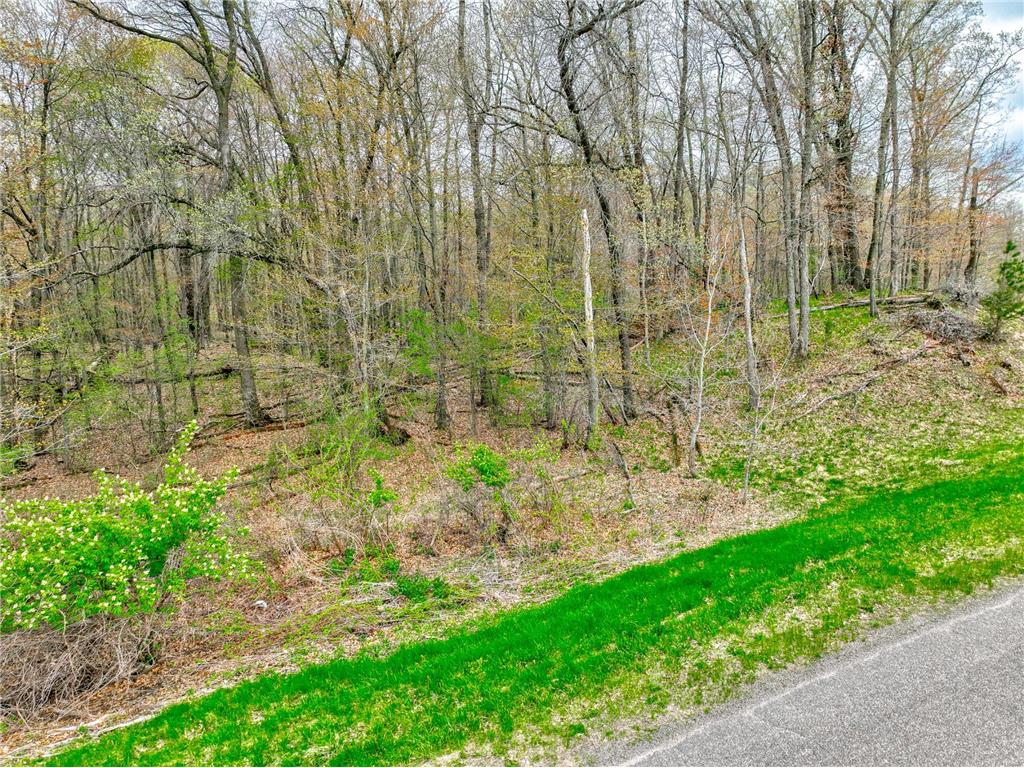 xxx 218th (Lot 37) Avenue Somerset WI 54025 7089212 image8