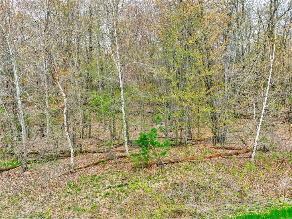 xxx 218th (Lot 37) Avenue Somerset WI 54025 7089212 image9