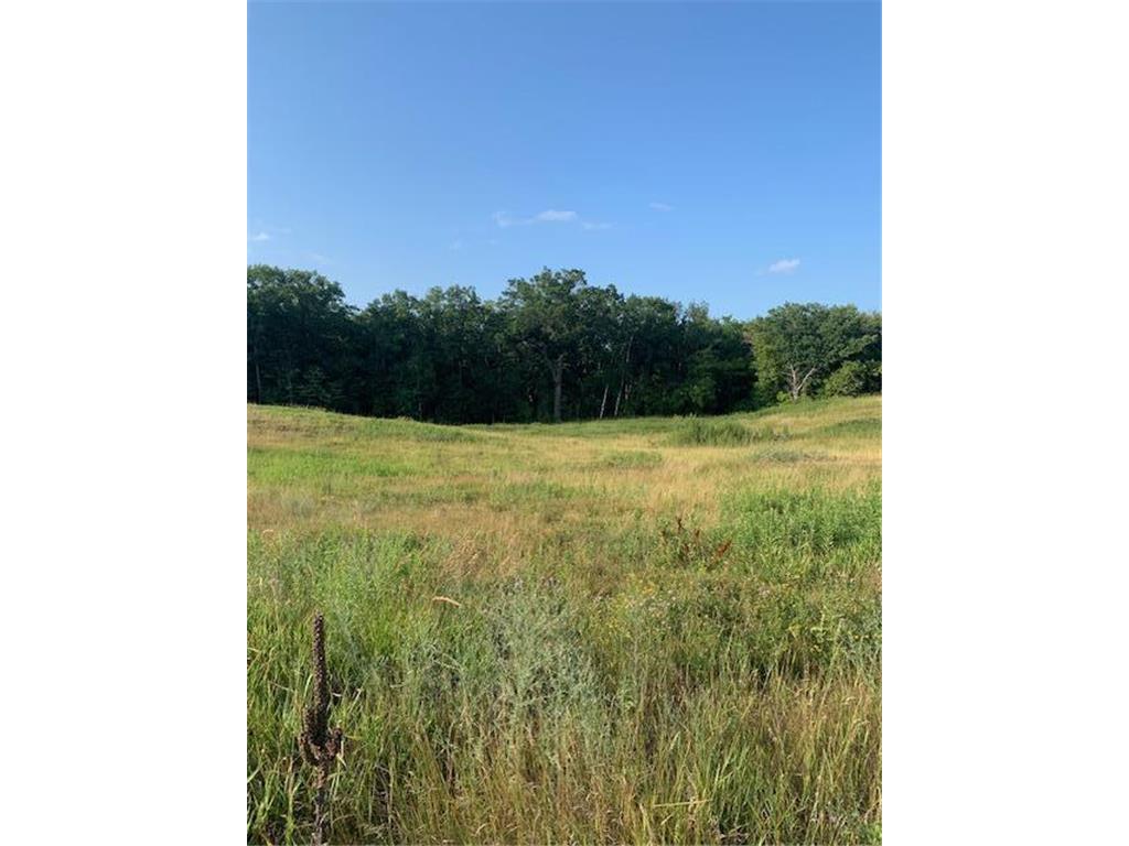 xxx 218th Street N Scandia MN 55073 6688986 image1