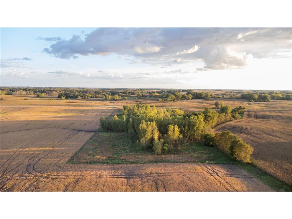 xxx 225th Street Litchfield MN 55355 6793210 image13