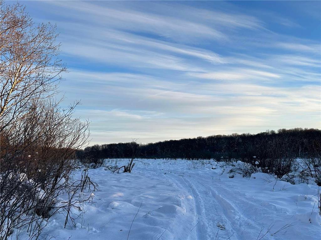 xxx 239 Avenue NE Linwood Twp MN 55079 6318897 image1