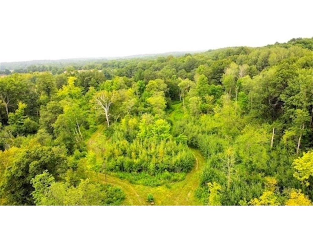xxx 240th Avenue Luck WI 54810 6412773 image1