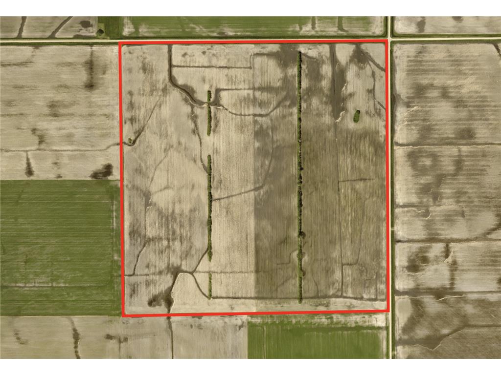 xxx 260th St Meadows Twp MN 56579 6643019 image1