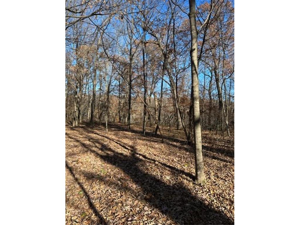 xxx 263rd Street Franconia Twp MN 55074 - St Croix River 6218647 image10