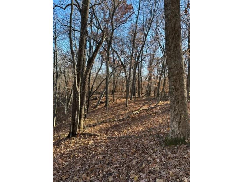 xxx 263rd Street Franconia Twp MN 55074 - St Croix River 6218647 image12