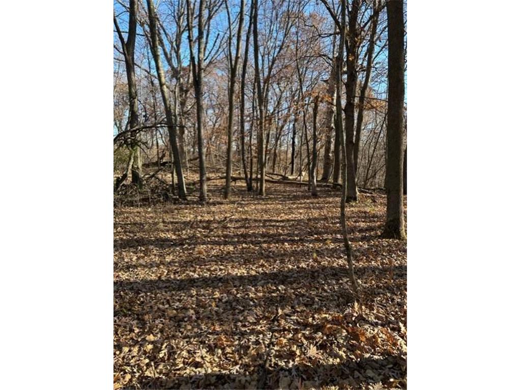 xxx 263rd Street Franconia Twp MN 55074 - St Croix River 6218647 image7