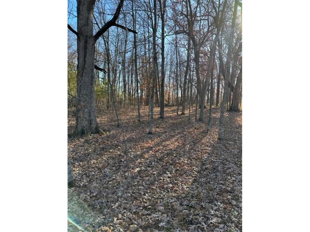 xxx 263rd Street Franconia Twp MN 55074 - St Croix River 6218647 image8