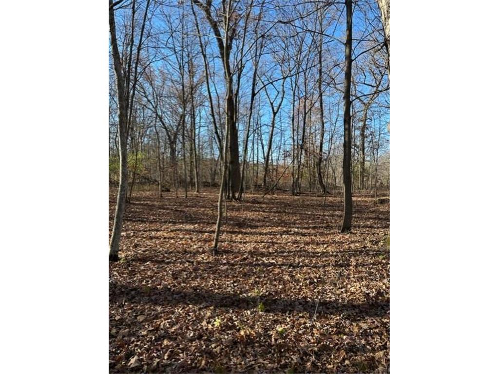 xxx 263rd Street Franconia Twp MN 55074 - St Croix River 6218647 image9