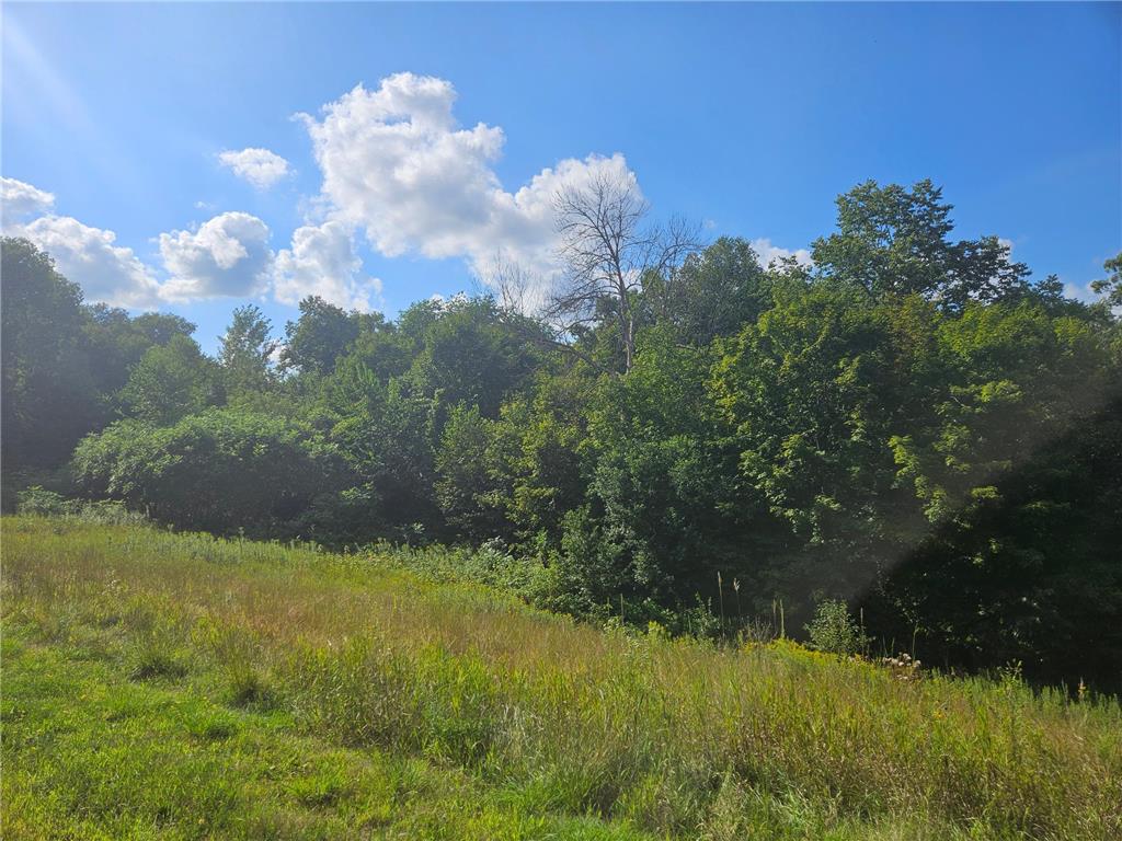 xxx 263rd Street Franconia Twp MN 55074 6775986 image3