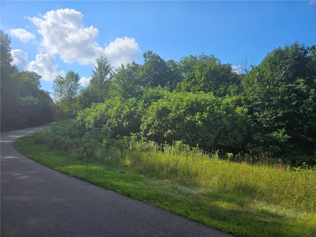 xxx 263rd Street Franconia Twp MN 55074 6775986 image5