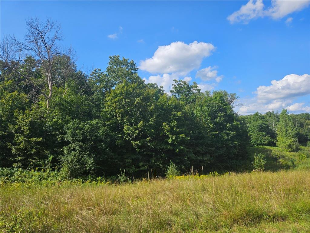 xxx 263rd Street Franconia Twp MN 55074 6775986 image6