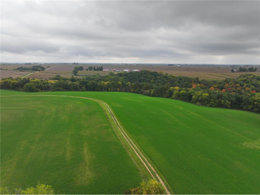 xxx 270th Street Norway Twp MN 55971 6469879 image1