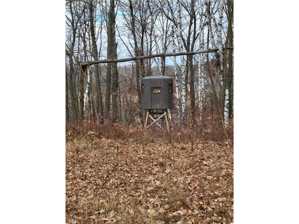 xxx 280th Street Cushing Twp MN 56443 6542143 image1