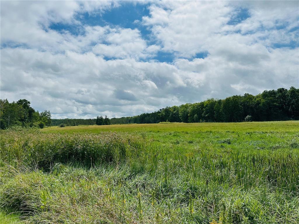 xxx 330th Street Onamia MN 56359 6590381 image8