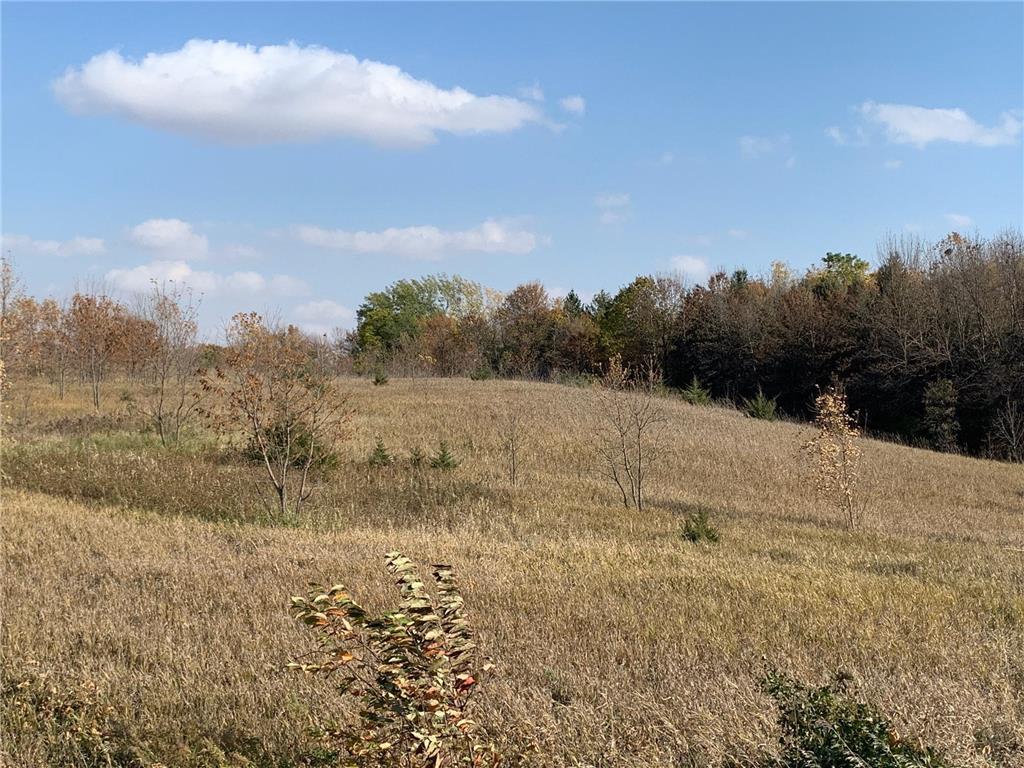 xxx 34th Avenue SE, Blooming Prairie Twp, MN 55917 MLS 6305713