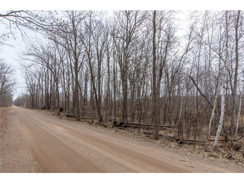 xxx 360th Street Bradbury Twp MN 56359 7046272 image10