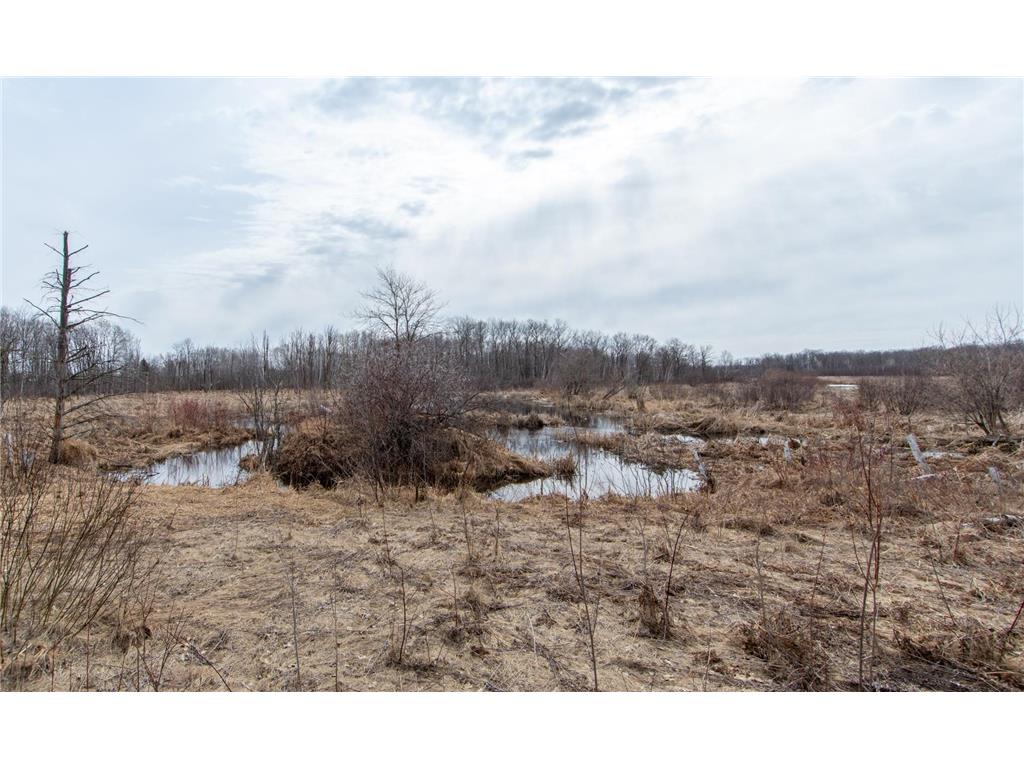 xxx 360th Street Bradbury Twp MN 56359 7046272 image13