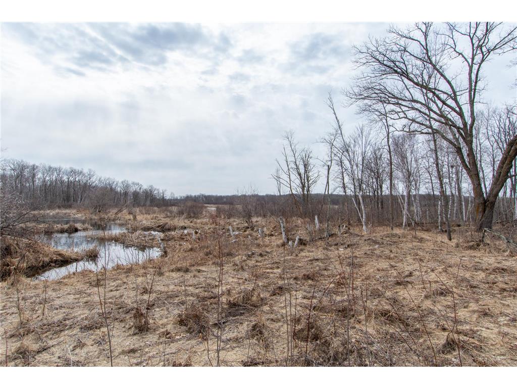 xxx 360th Street Bradbury Twp MN 56359 7046272 image14