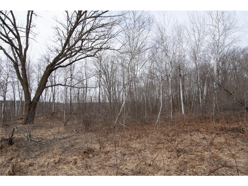 xxx 360th Street Bradbury Twp MN 56359 7046272 image15