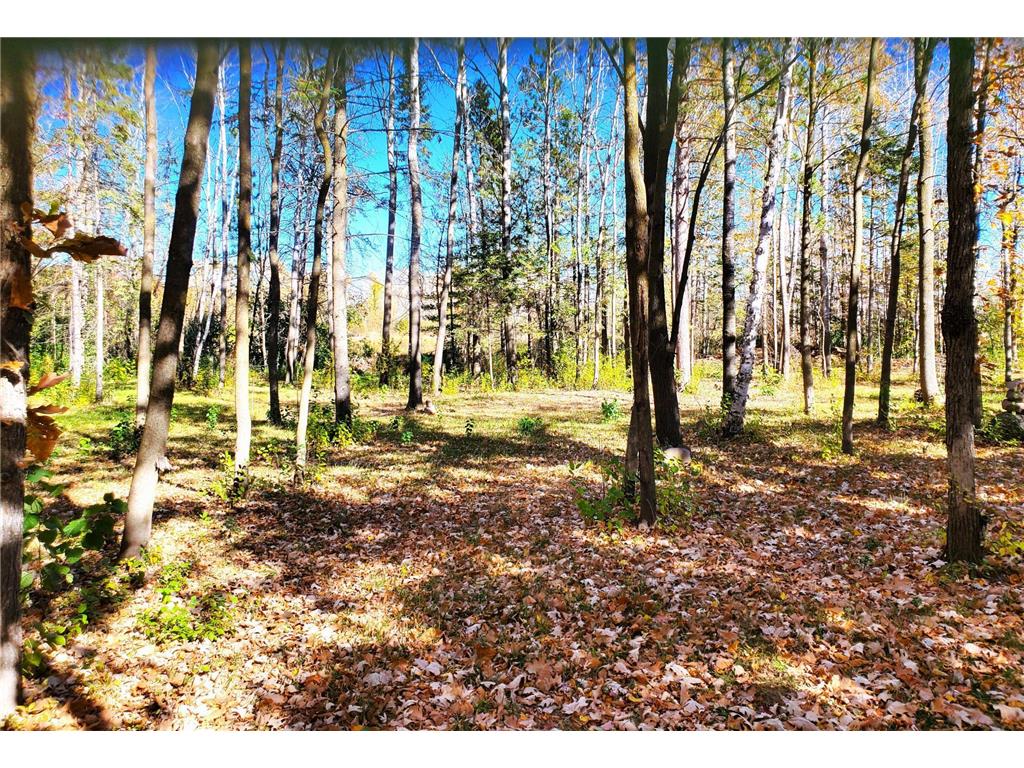 xxx 3rd Street S Brook Park MN 55007 6625669 image1