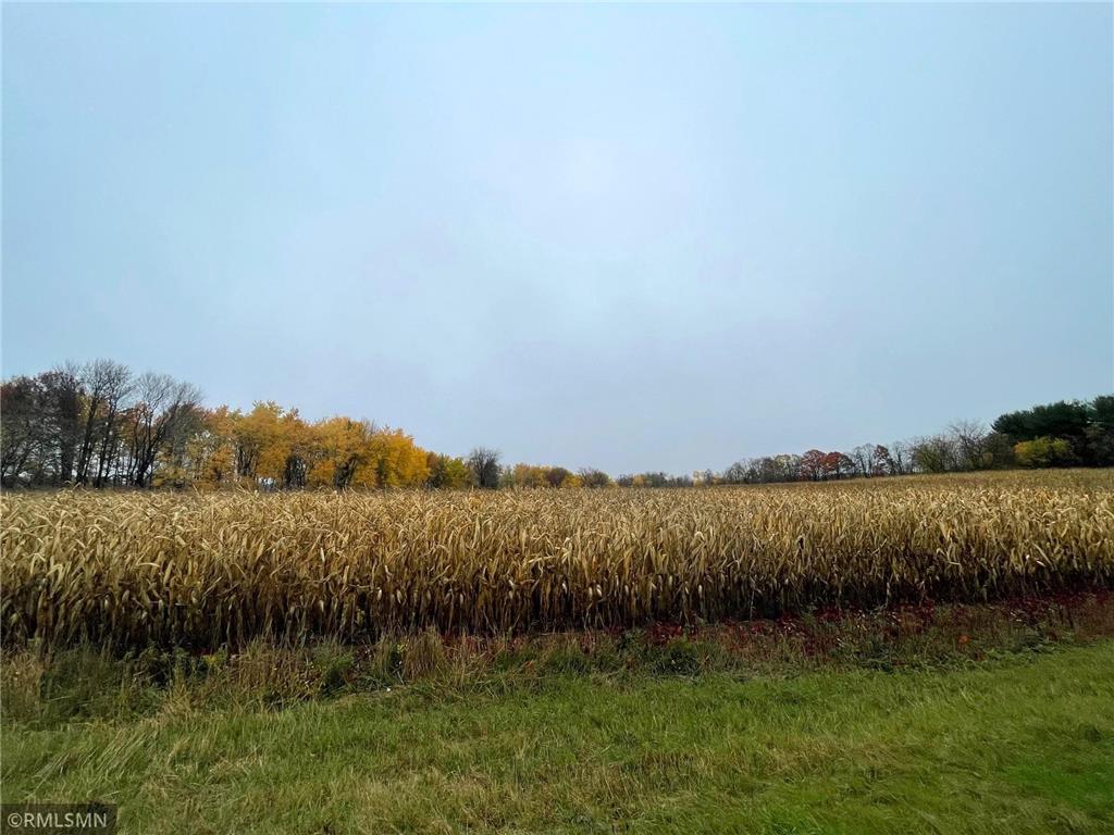 xxx 40th Ave, Clear Lake, WI 54005 MLS 6459681 Edina Realty