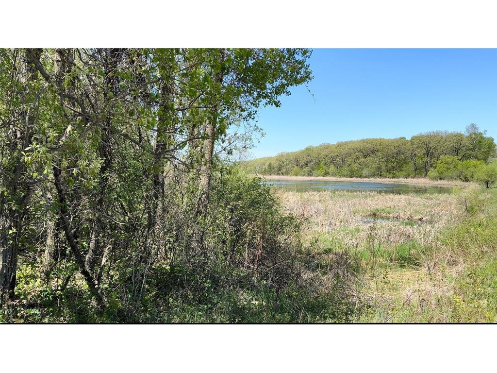 xxx 425th Avenue Nidaros Twp MN 56524 6355259 image1