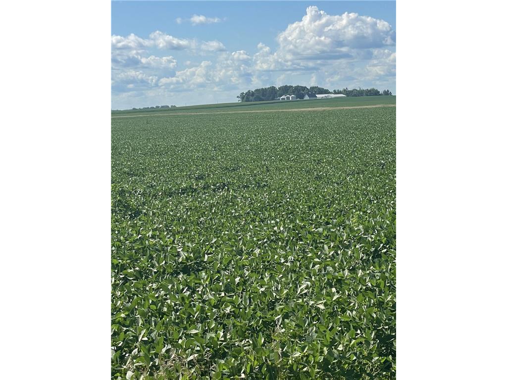 xxx 437th Avenue Delavan MN 56023 6761394 image1