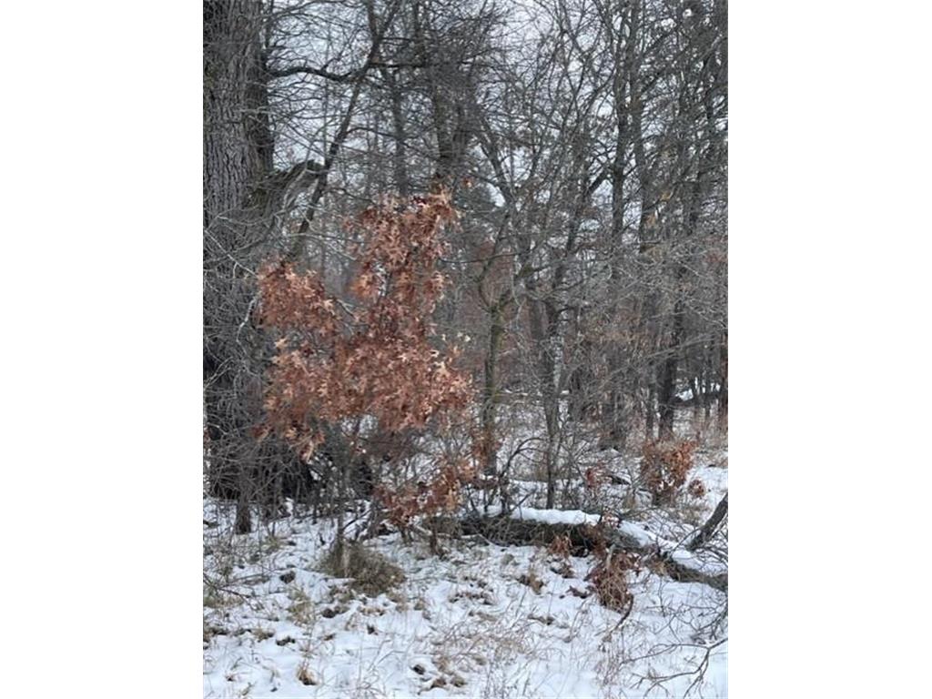 xxx 445th Sunrise Twp MN 55032 6477372 image1