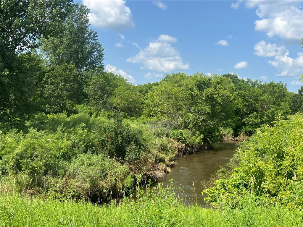 xxx 550th Ave Carson Twp MN 56159 6567758 image1