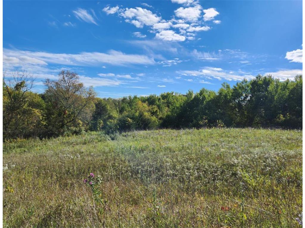 W10779 566th Avenue, Prescott, WI, 54021 MLS 6397395 Edina Realty