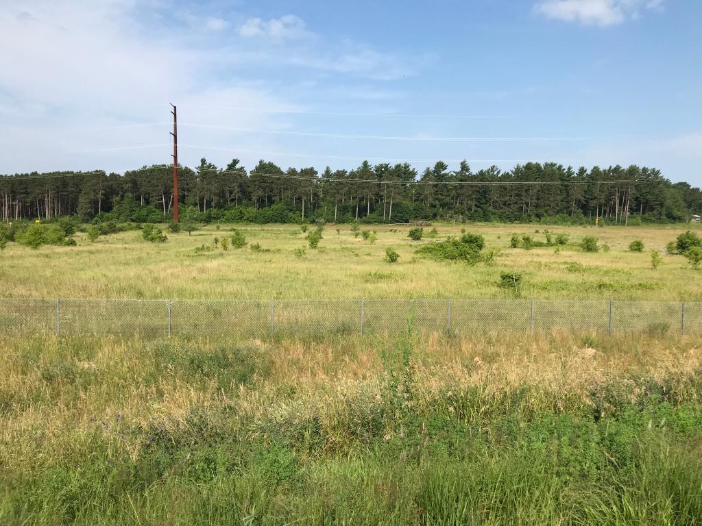 xxx 63rd Avenue Cannon Falls MN 55009 6408711 image1